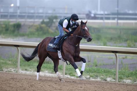 Belmont Stakes Odds: Online Betting Guide For 2024 Horse .